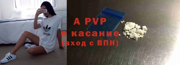 PSILOCYBIN Белокуриха