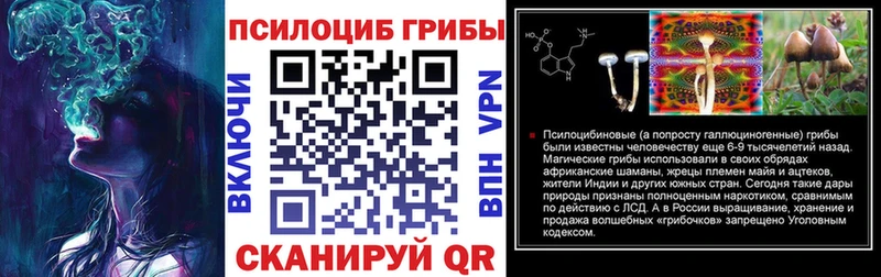 Галлюциногенные грибы Psilocybe Дигора
